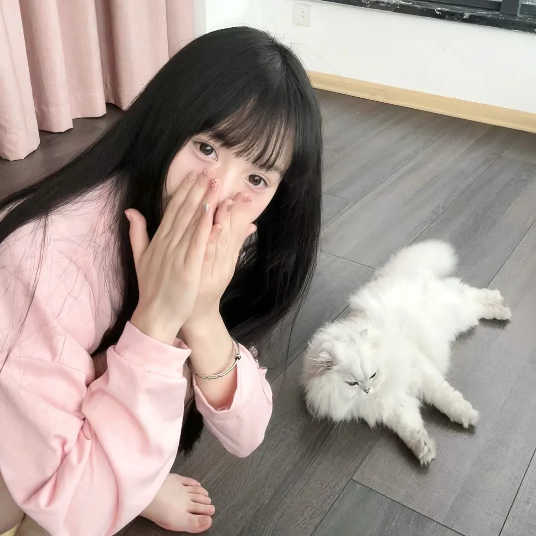 十二猴子第二季