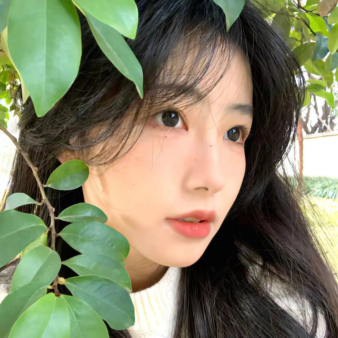暗夜逐仇